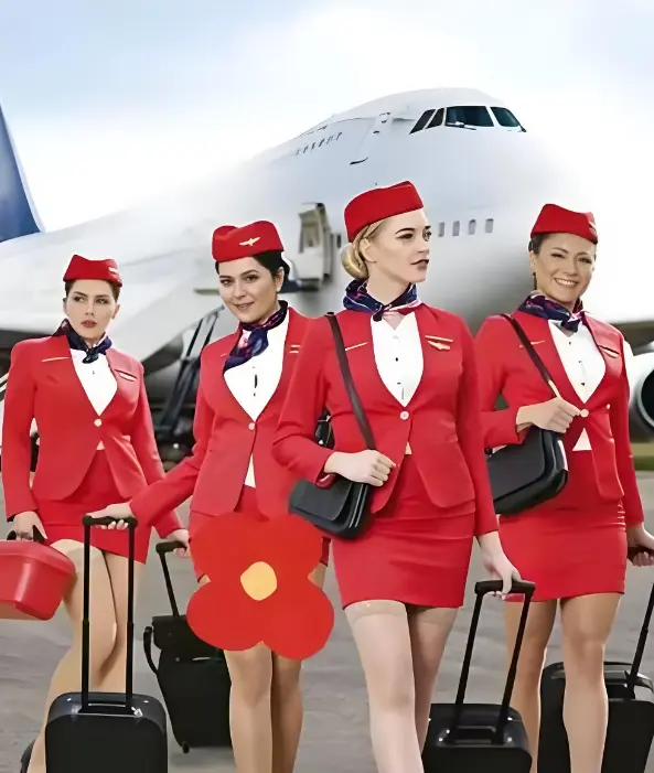 《法国空姐2019》4K蓝光未删减版-免费在线观看秒加载-2019法国航空职场剧-夸克网盘迅雷下载