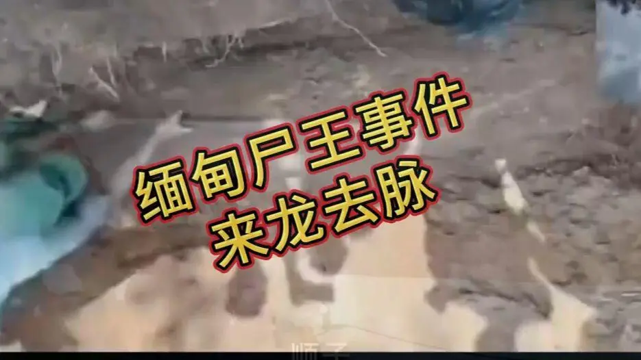 《缅甸僵尸》相关资源图片